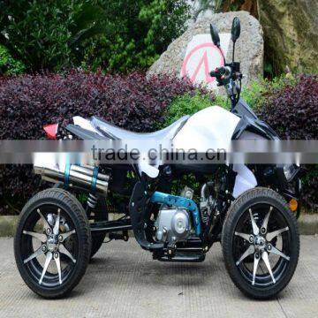 JLA-11A-09--110cc-air Cooled Max Power 5.5kw/8000 Different Clor Racing Atv Quad High Quality Cheap Price Hot Sale photo-4