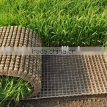 Plastic Rice Seed Growing Tray / Rice Seedling Tray/ Paddy Nursery Tray photo-4
