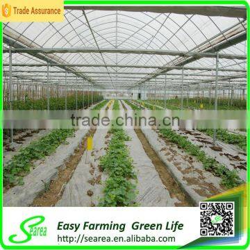 Used Galanized Steel Pipe Greenhouse for Sale