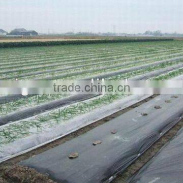 Plastic Plant:Agricultural Film Machinery