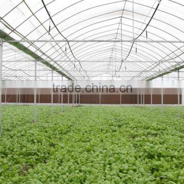 Industrial Size Hot Sale Commercial Glass Greenhouse for Vegetables photo-2