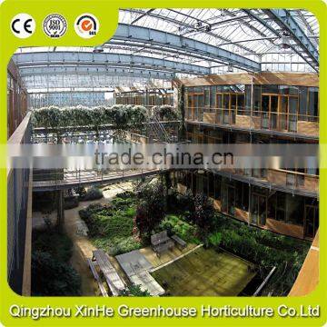 Cheapest Hot Sale Agricultural/Commercial Plastic Greenhouse photo-5