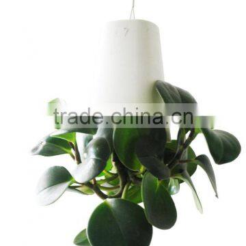 CT-457 Magic Sky Planter Plastic Flower Pot 18x18x25cm photo-5