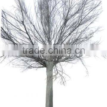 GNW WTR1102 High Quality Oversized Artificial Tree Without Leaf Winter Tree For Sale photo-3