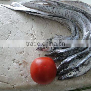 Best Price Frozen Surimi photo-3