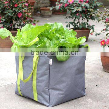 High Quality Durable Oxford Grow Bags With Handles photo-3