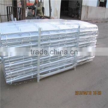 Low Price Construction Ringlock Scaffolding Standard Scaffolding Manufactureres in China photo-4