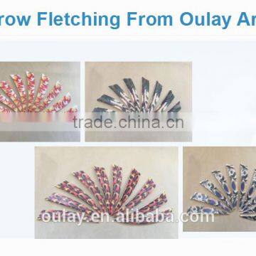 2017 Popular Fancy Arrow Vanes Fletchings For DIY Arrows --500PCS can custom