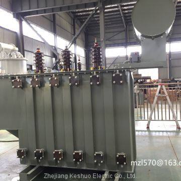 5500kva Oil Immersed Transformer (up to 136kv, 180MVA) photo-3