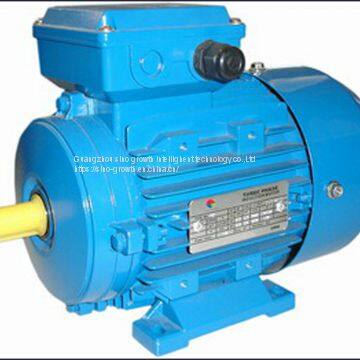 Ie1 Ms Series Three Phase Asynchronous Motor 0.09kw 4p