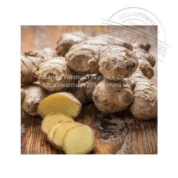 8007-08-7 High Quality Ginger-based Resin Wholesale