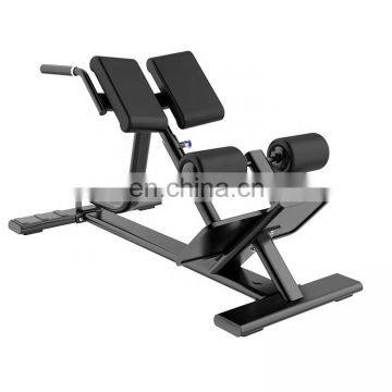 High Standard Commercial Gym Fitness Equipment E7045 Back Extension For Sale