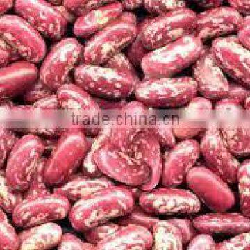 offer Red Speckled Kidney white beans black beans