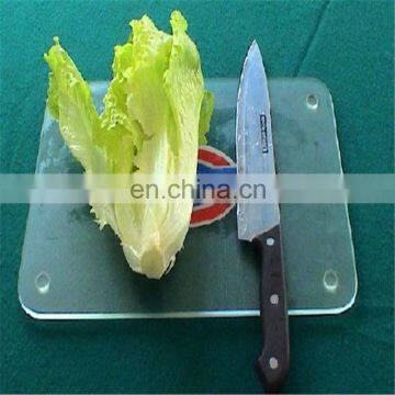 Factory Cheap Price Wholesale Glass Cutting Board & Chopping Blocks