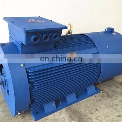 Three phase electrical hoist induction motor for tower crane