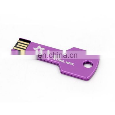 Portable Hot Sell Metal Key USB Flash Drive 8GB 16GB USB 2.0 Promotional USB Memory