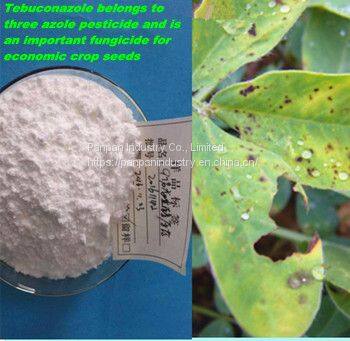 High Quality Chemical Fungicides Tebuconazole 97%tc Powder Pesticides for Agriculture photo-3