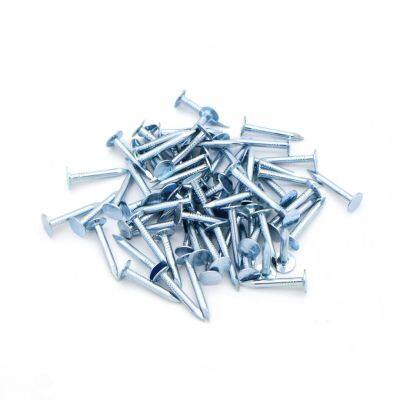 25kg Paper Carton Galvanized Roofing Clout Nails - Ready for OEM Branding photo-2