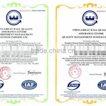 High Quality Small Size Human Chinese Acupuncture Model 26cm photo-2