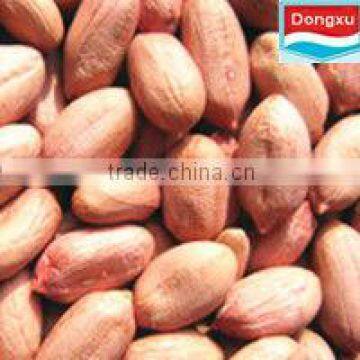good quality peanut for oil