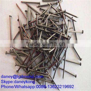 Common Nail CN-036D