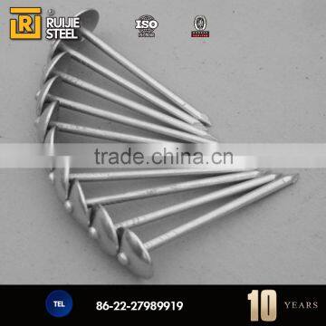 Smooth Common Nail/Galvanized Roofing Nails Quality Products photo-6
