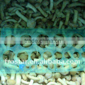 IQF frozen nameko mushroom