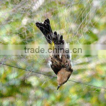 Bird netting for sale