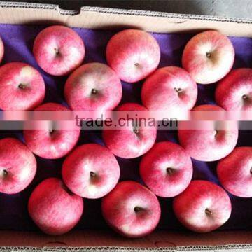 Red Color and Fuji Variety Apple Fresh FUJI Apple