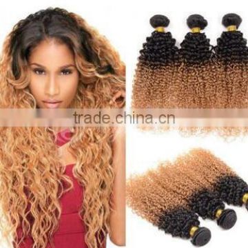 High Quality Heat Resistant Fibre Two Toned Afro Curly Hair