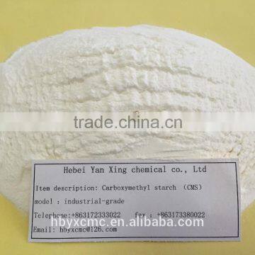 Having ion-exchange properties CMS Carboxymethyl starch