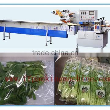 Multi-Function Automatic Vegetable and Fruit Packing/ Wrapping Machine/Horizontal Flow Packaging Machine