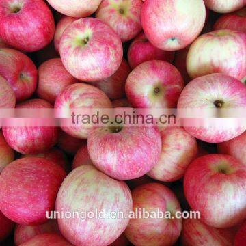 Chinese Fuji Fresh Red Apple photo-4