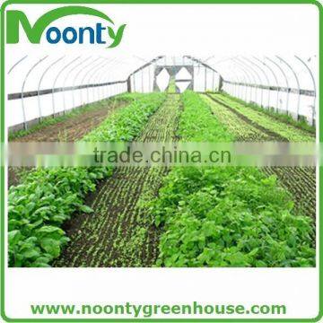 Agricultural Greenhouse photo-4