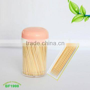 bottle packed bamboo toothpicks