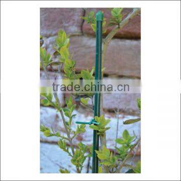 Wholesale bamboo stake for climbing plants with various heights