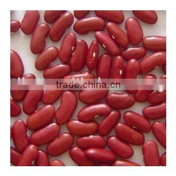 Red kidney bean/british red kidney bean/dark red kidney bean