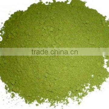 Moringa Oleifera Seeds Available... photo-3