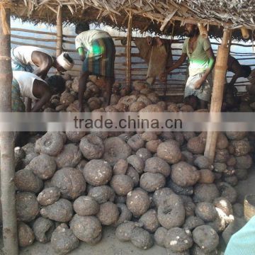 Elephant foot yam