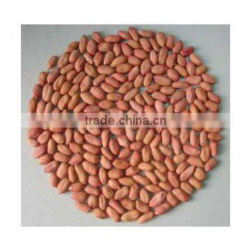 Peanuts Kernel With Red Skin 24-28 Specification