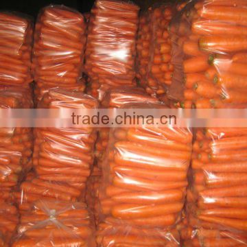 2014 New Crop Grade A Chinese fresh carrots specification