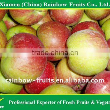 Liaoning Jiguan Apple