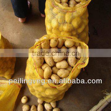 Fresh Potato 2013 hot sall