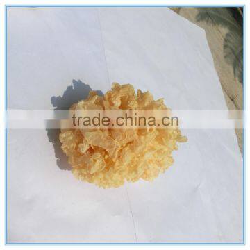 Wholesale Dried Tremella Fuciformis White Fungus photo-3