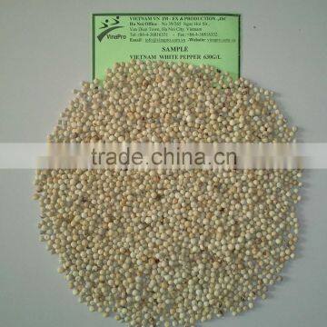 VIETNAM WHITE PEPPER 550 G/ l, 600 G/L, 630 G/L BEST QUALITY