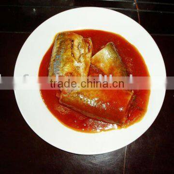 Canned Mackerel in Tomato Sauce