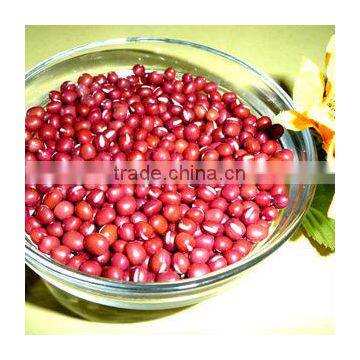 JSX affordable prices adzuki beans excellent small red mung bean