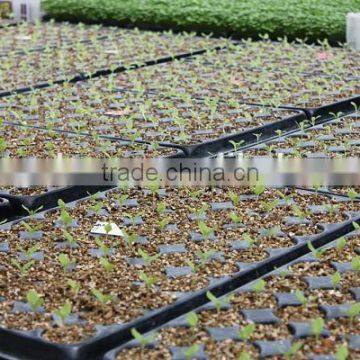 Horticultural Grade Vermiculite 2-4mm for Hydroponics Wholesale photo-3