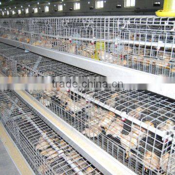 chick rearing cage for poultry farm