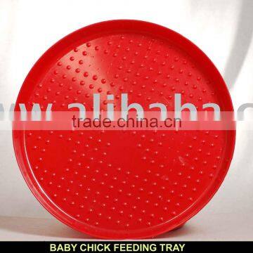 Poultry Chick Feeding trays